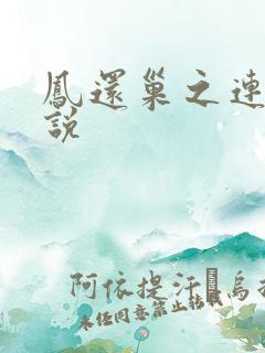 凤还巢之连城小说