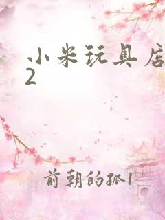 小米玩具店老板2