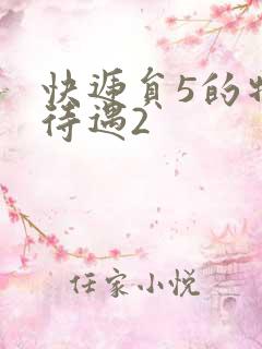 快递员5的特殊待遇2