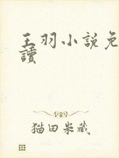 王羽小说免费阅读