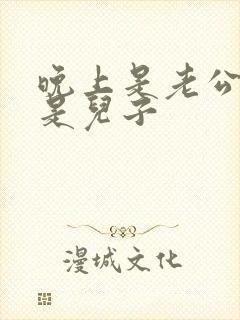 晚上是老公白天是儿子