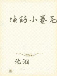 他的小卷毛
