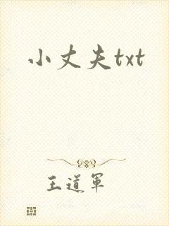 小丈夫txt