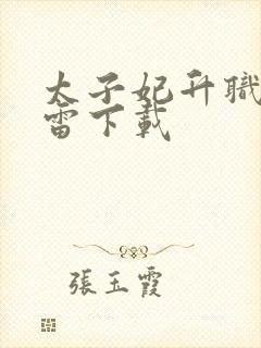 太子妃升职记迅雷下载