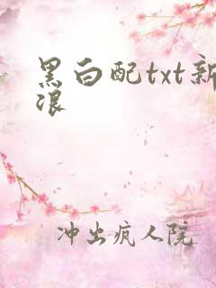 黑白配txt新浪