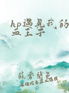 hp遇见我的混血王子