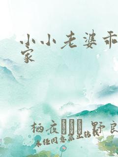 小小老婆乖乖回家