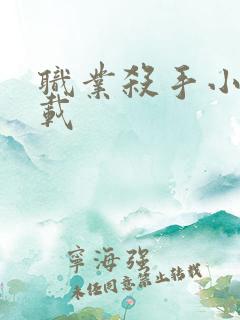 职业杀手小说下载