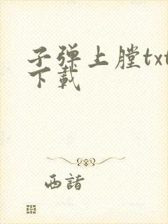 子弹上膛txt下载