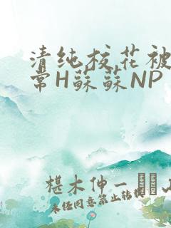 清纯校花被脔日常H苏苏NP
