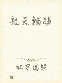 龙天辅助