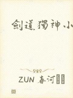 剑道独神小说