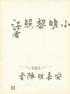 江照黎明小说原著