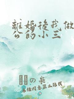 离婚后我做了老公的小三