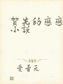 贺先的恋恋不忘小说