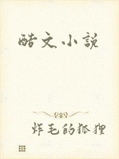 酷文小说