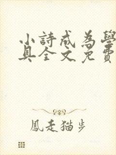 小诗成为学校教具全文免费阅读无弹窗