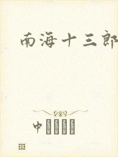南海十三郎小说