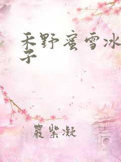 禾野蜜雪冰城本子
