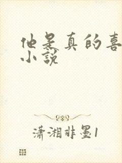 他是真的喜欢你小说