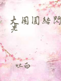 大团圆结闪闪发光