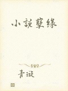 小说孽缘