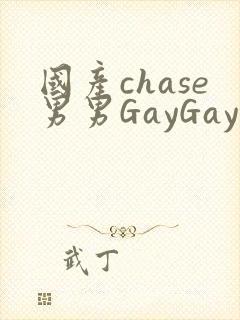 国产chase男男GayGay
