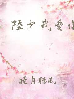 陆少 我爱你
