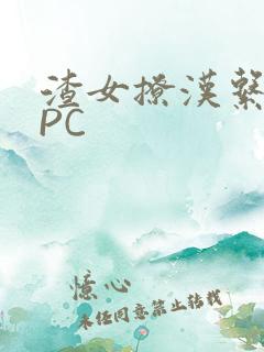 渣女撩汉系统NPC