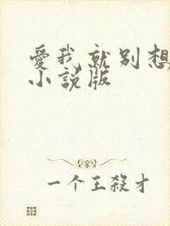 爱我就别想太多小说版