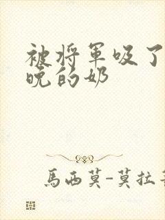 被将军吸了一整晚的奶