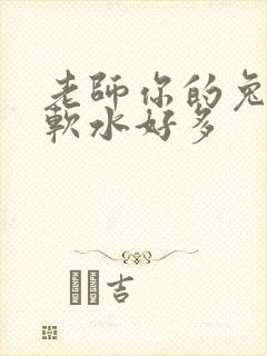 老师你的兔子好软水好多