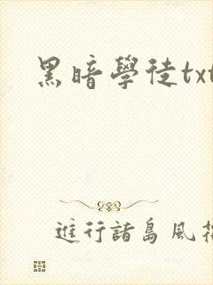 黑暗学徒txt