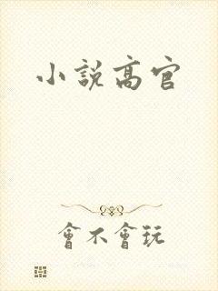 小说高官