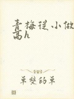 青梅从小做到大高h
