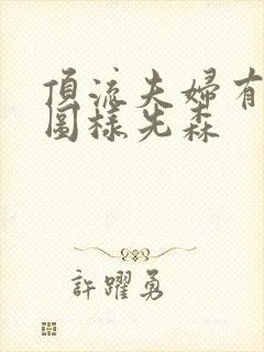 顶流夫妇有点甜图样先森