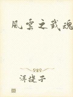 风云之武魂