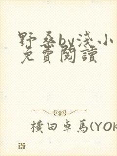 野桑by浅小说免费阅读