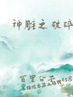 神雕之破碎之旅