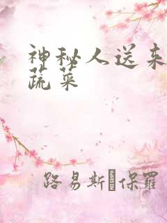 神秘人送来千斤蔬菜