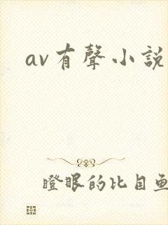 av有声小说