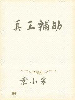 真王辅助