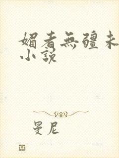 媚者无疆未删减小说