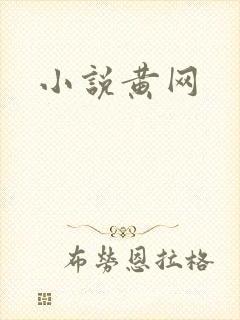 小说黄网