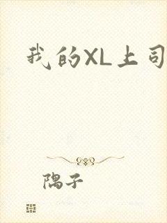 我的XL上司