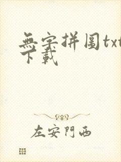 无字拼图txt下载