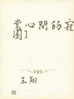 掌心间的宠[校园]