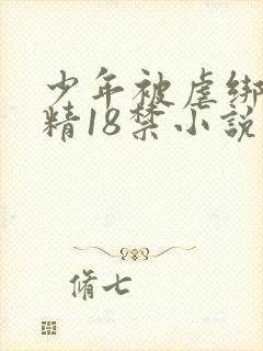 少年被虐绑着榨精18禁小说