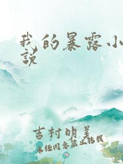 我的暴露小说小说