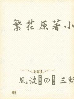 繁花原著小说